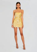 Nolia Sequin Embellished Dress