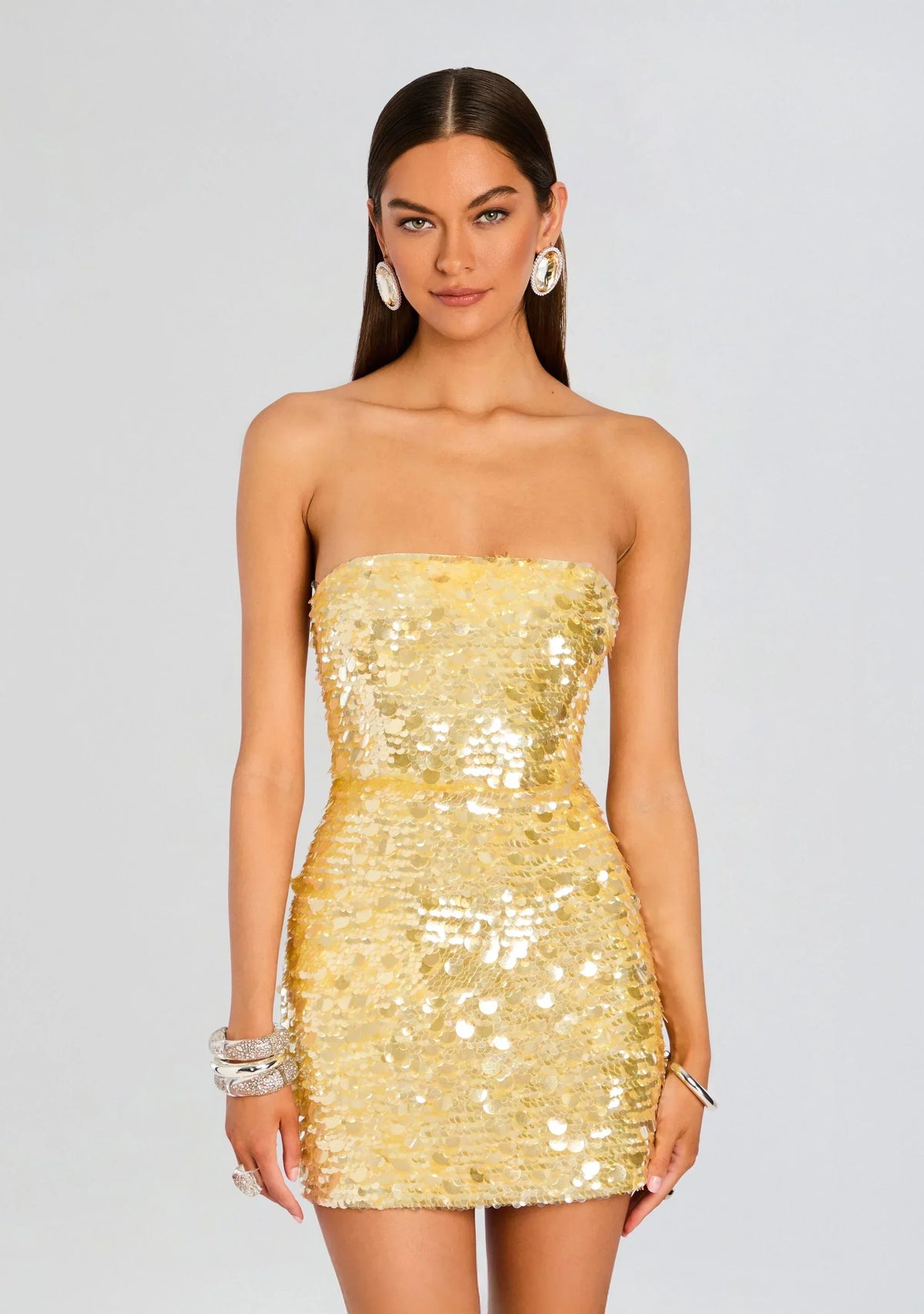 Nolia Sequin Embellished Dress