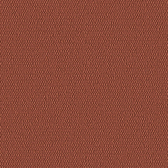 Demi Boucle - Desert Peach - 2005 - 11