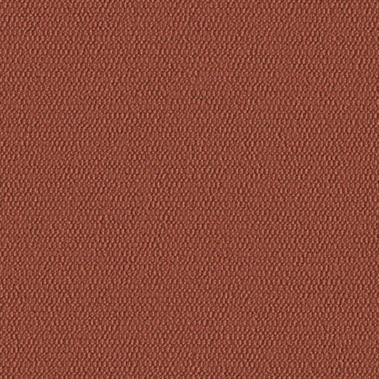 Demi Boucle - Desert Peach - 2005 - 11