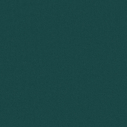 Focal Point - Green Screen - 6002 - 04