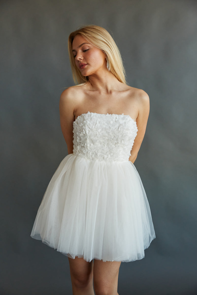 Grace Floral Applique Tulle Babydoll Mini Dress