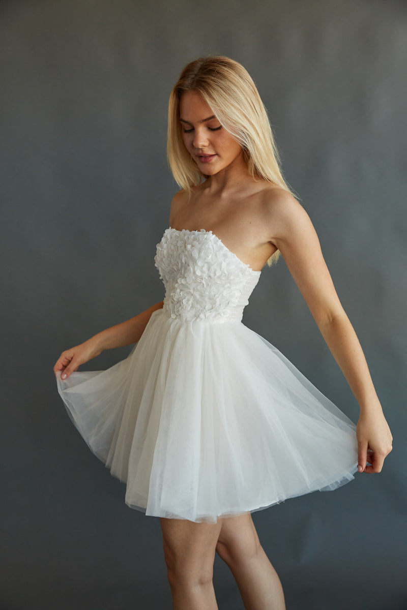 Grace Floral Applique Tulle Babydoll Mini Dress