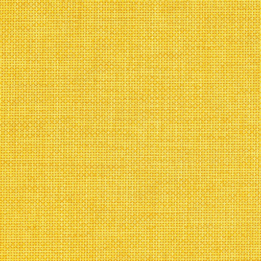 Graviton - Luminous Flux - 1034 - 07