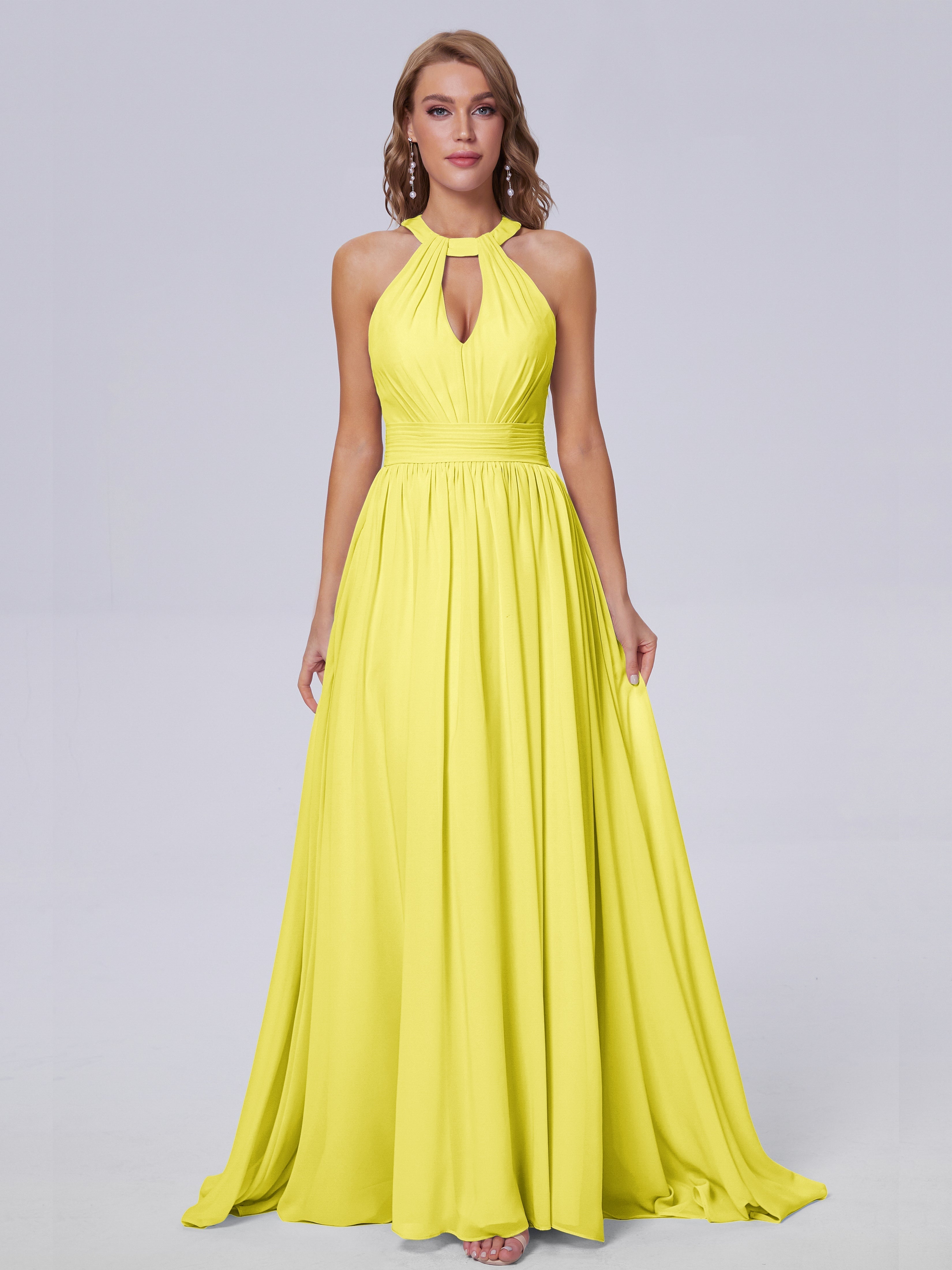Nicole Vintage Halter Chiffon Long Bridesmaid Dresses