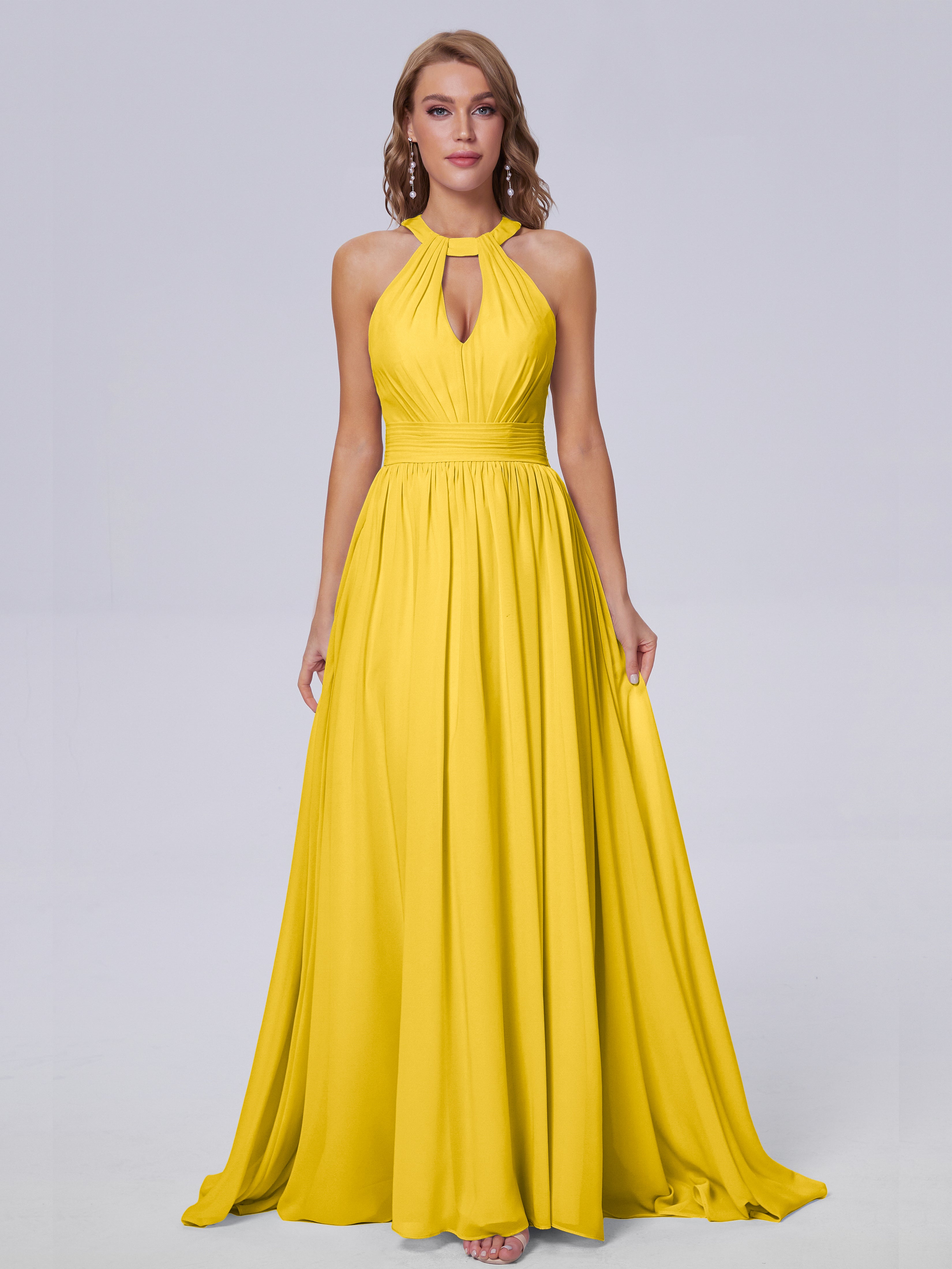 Nicole Vintage Halter Chiffon Long Bridesmaid Dresses