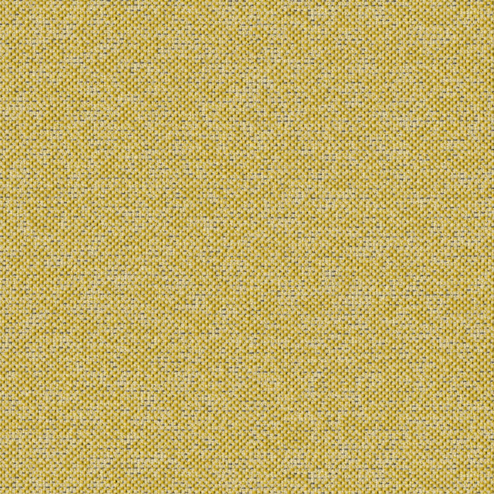 Texture Map - Elm Pollen - 2004 - 10 - Half Yard