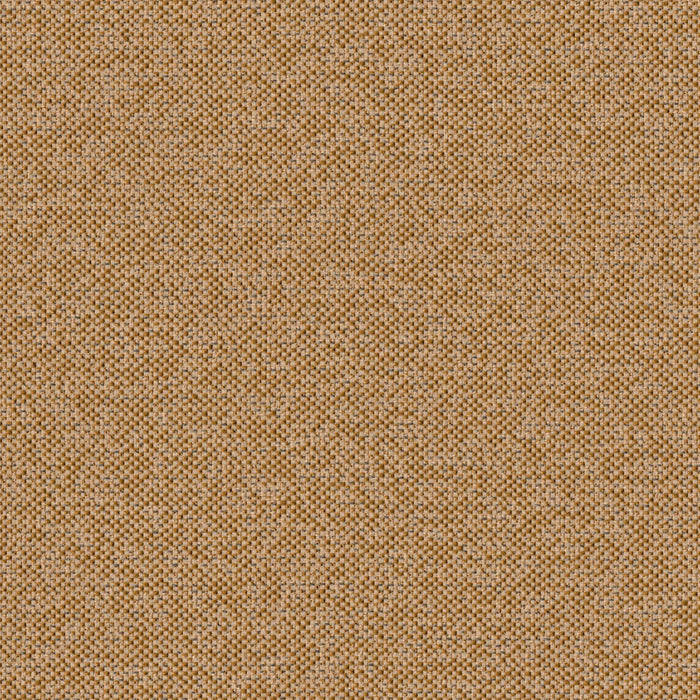 Texture Map - Holocene - 2004 - 06 - Half Yard