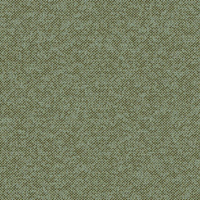Texture Map - Linden - 2004 - 12 - Half Yard