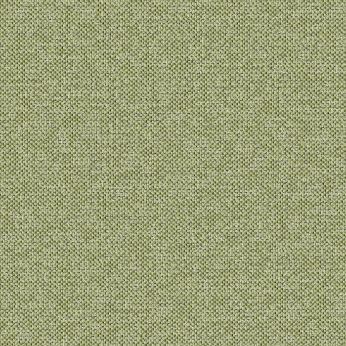 Texture Map - Miocene - 2004 - 11