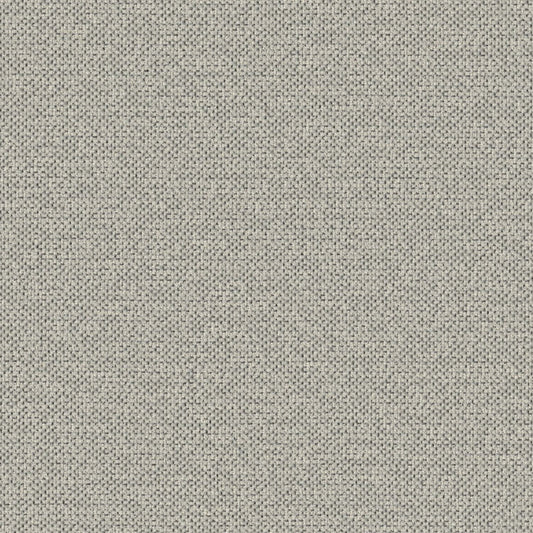 Texture Map - Trace Fossil - 2004 - 04 - Half Yard