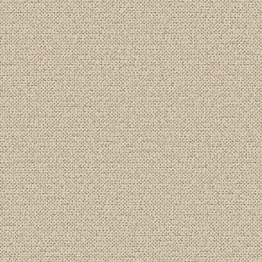 Texture Map - Windblown Silt - 2004 - 05 - Half Yard