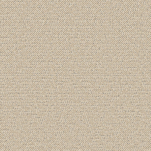 Texture Map - Windblown Silt - 2004 - 05