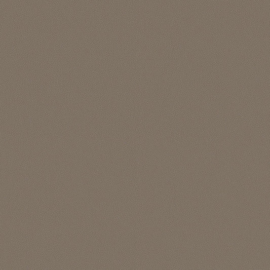 Touch Tone - Fallow - 4117 - 12 - Half Yard