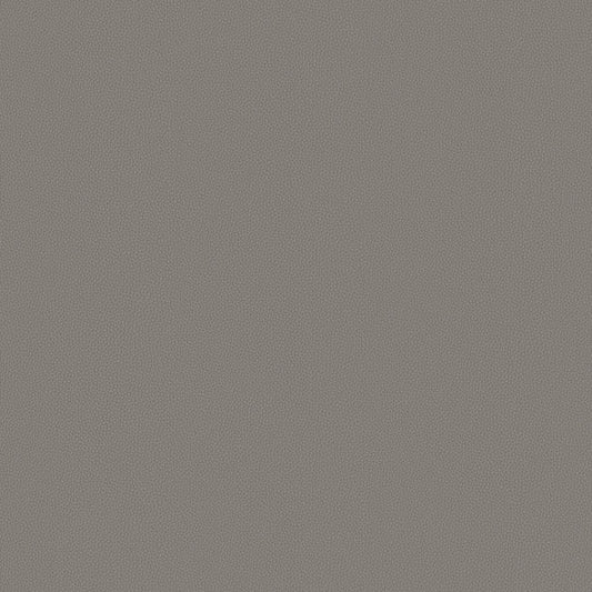 Touch Tone - Field Stone - 4117 - 13
