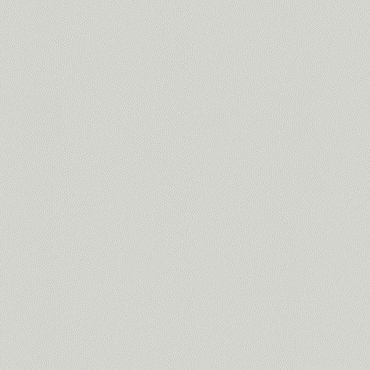 Touch Tone - Lacebark - 4117 - 05 - Half Yard